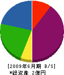 中島設備 貸借対照表 2009年6月期