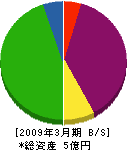 宮本鉄工 貸借対照表 2009年3月期