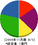 川﨑電気工業 貸借対照表 2009年11月期