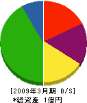 矢谷板硝子 貸借対照表 2009年3月期