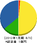 三榮技研 貸借対照表 2012年1月期