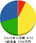 筒井鉄工所 貸借対照表 2010年12月期