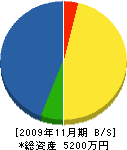 隅川造園 貸借対照表 2009年11月期