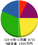 長澤工業 貸借対照表 2010年12月期