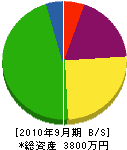 柴田組 貸借対照表 2010年9月期