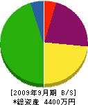 唐沢建設 貸借対照表 2009年9月期