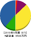 藤川組 貸借対照表 2010年9月期