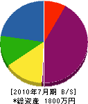 斎藤造園 貸借対照表 2010年7月期