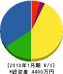 三栄企業 貸借対照表 2010年1月期