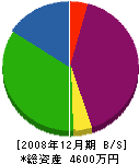 田中工業 貸借対照表 2008年12月期