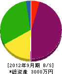前田ポンプ商会 貸借対照表 2012年9月期