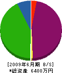 新井土木 貸借対照表 2009年6月期
