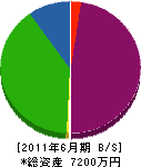 上野ガラス 貸借対照表 2011年6月期