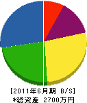 川＊電機商会 貸借対照表 2011年6月期