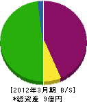筑波電機製作所 貸借対照表 2012年3月期