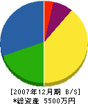 近畿社寺工芸 貸借対照表 2007年12月期