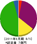 菊地工業 貸借対照表 2011年6月期