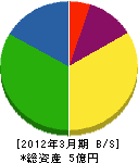 錦衛生舎 貸借対照表 2012年3月期