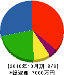 川下工務店 貸借対照表 2010年10月期