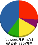 渡辺工事部 貸借対照表 2012年6月期