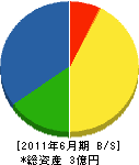 秋田電気工事 貸借対照表 2011年6月期