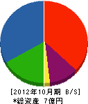 長崎工業 貸借対照表 2012年10月期