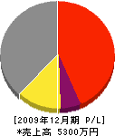 山田電気工事 損益計算書 2009年12月期