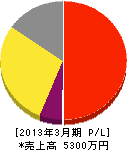 宮田水道サービスセンター 損益計算書 2013年3月期