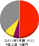 渡辺工業所 損益計算書 2011年5月期
