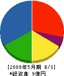 松栄住宅 貸借対照表 2009年5月期