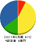 吾郷設備 貸借対照表 2011年6月期