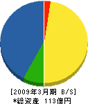 日本写真判定 貸借対照表 2009年3月期
