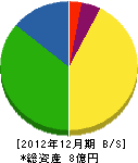 新栄地研 貸借対照表 2012年12月期