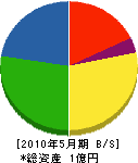 壱岐産業 貸借対照表 2010年5月期