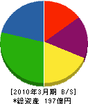 石井鐵工所 貸借対照表 2010年3月期