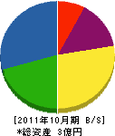 高須工務店 貸借対照表 2011年10月期