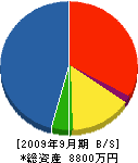 徳永組 貸借対照表 2009年9月期