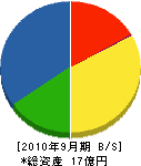 小野新建設 貸借対照表 2010年9月期