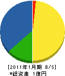 三榮技研 貸借対照表 2011年1月期