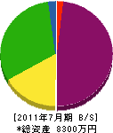 篠岡建設 貸借対照表 2011年7月期
