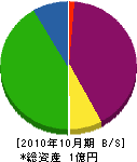 田中商店 貸借対照表 2010年10月期