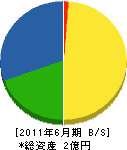 谷中電気商会 貸借対照表 2011年6月期