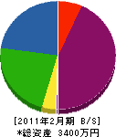 石川商店 貸借対照表 2011年2月期