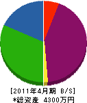 西田畳店 貸借対照表 2011年4月期