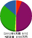津崎建設 貸借対照表 2012年6月期