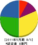 姫川プラント 貸借対照表 2011年5月期