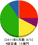 前田建設 貸借対照表 2011年6月期