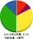 山幸 貸借対照表 2010年4月期