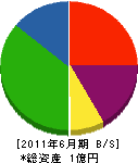 宮川電設 貸借対照表 2011年6月期