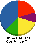 日本物理探鑛 貸借対照表 2010年3月期